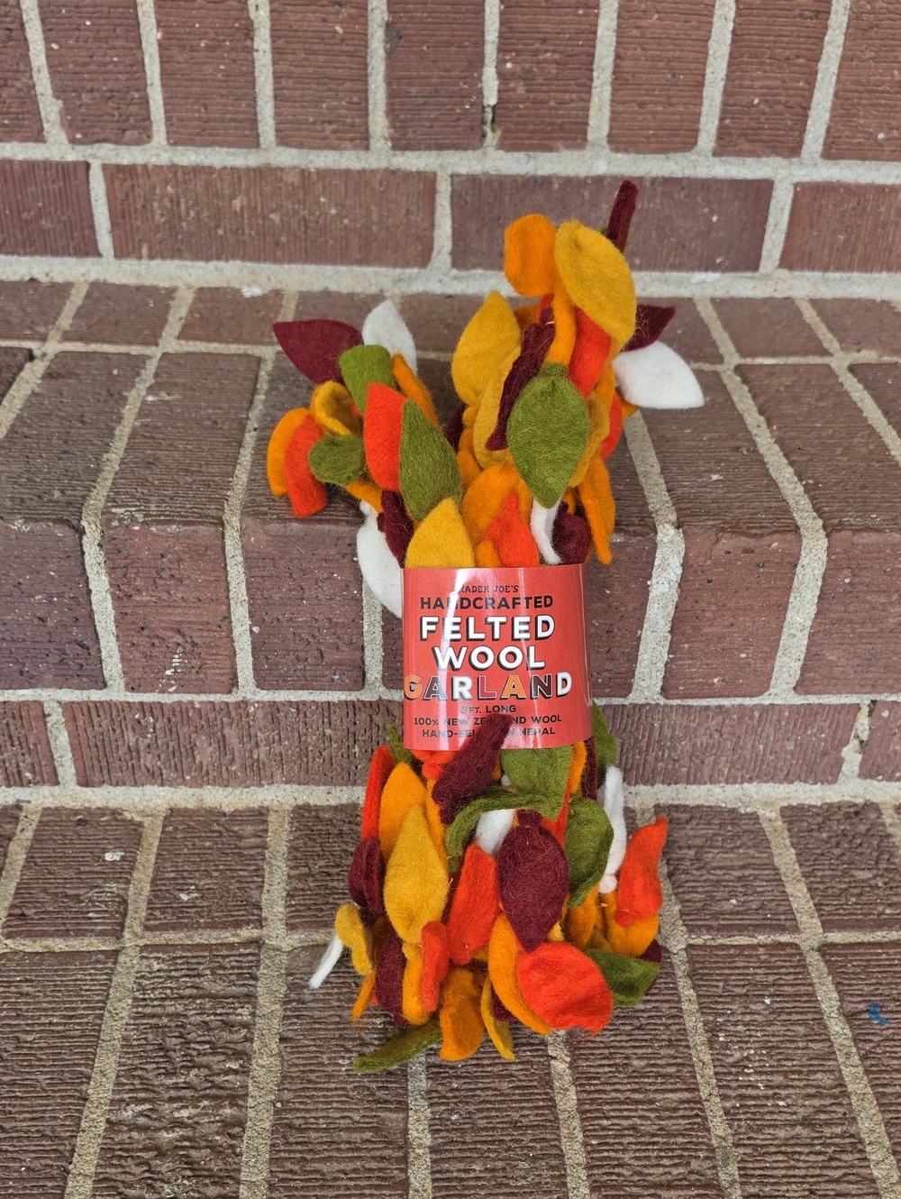 Trader Joe's Handcrafted 9ft Felted Wool Garland Fall 2026